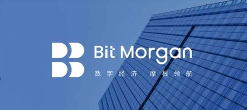 Morgan集団がブロックチェーンをレイアウトし、間もなく発行する